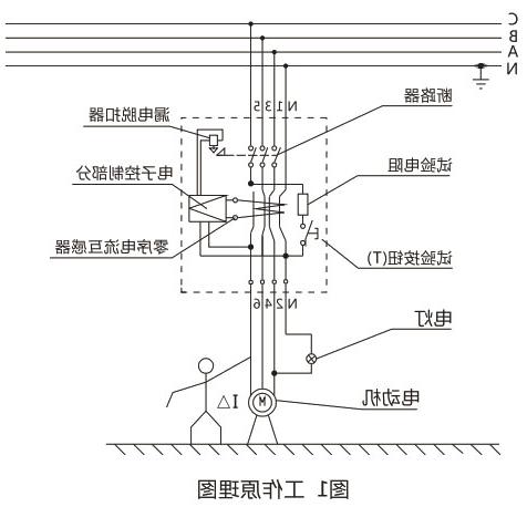 DZ15LE系列漏电断路器-滚球app集团